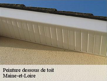 Peinture dessous de toit Maine-et-Loire