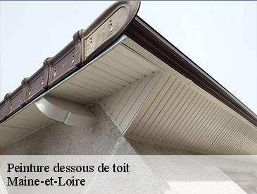 Peinture dessous de toit Maine-et-Loire