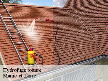 Hydrofuge toiture Maine-et-Loire 