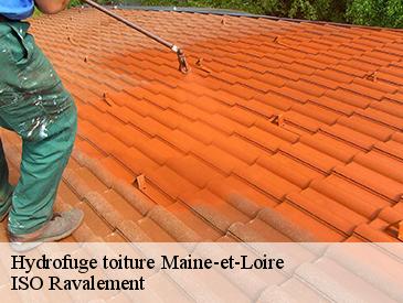 Hydrofuge toiture 49 Maine-et-Loire ISO Ravalement
