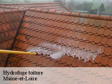 Hydrofuge toiture Maine-et-Loire