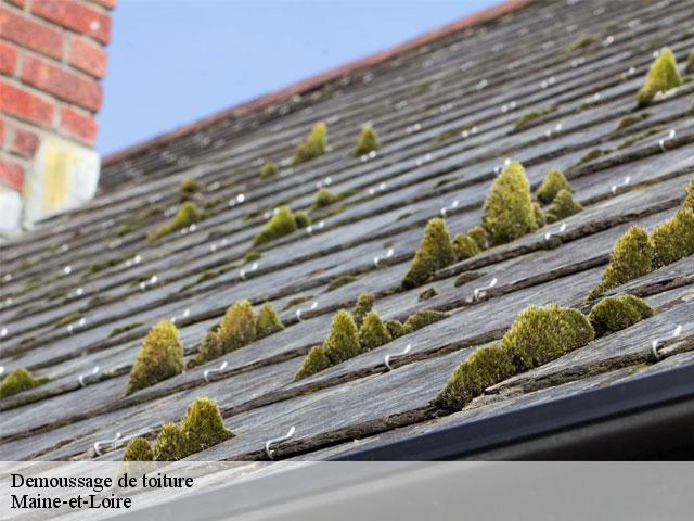 Demoussage de toiture Maine-et-Loire 