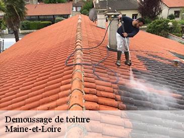 Demoussage de toiture Maine-et-Loire