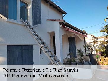 Peinture Extérieure  le-fief-sauvin-49600 AR Rénovation Multiservices 