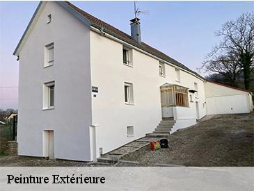 Peinture Extérieure 49600