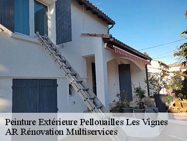 Peinture Extérieure  pellouailles-les-vignes-49112 AR Rénovation Multiservices 