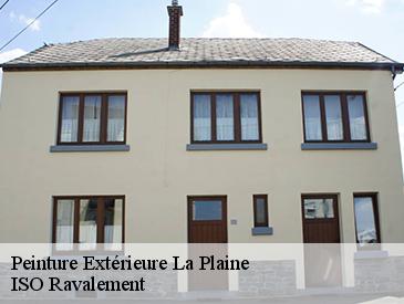 Peinture Extérieure  la-plaine-49360 