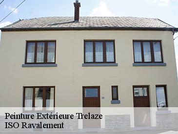 Peinture Extérieure  trelaze-49800 