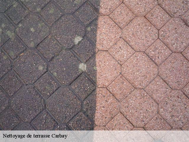 Nettoyage de terrasse  carbay-49420 