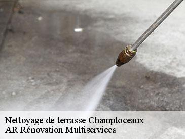 Nettoyage de terrasse  champtoceaux-49270 AR Rénovation Multiservices 
