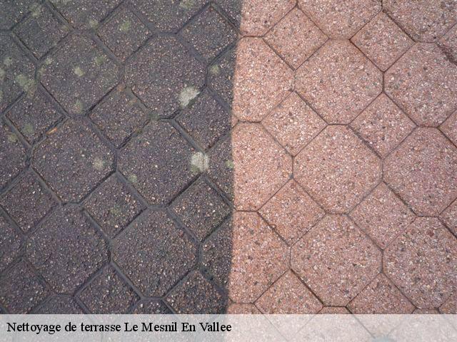 Nettoyage de terrasse  le-mesnil-en-vallee-49410 