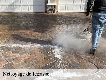Nettoyage de terrasse 49170