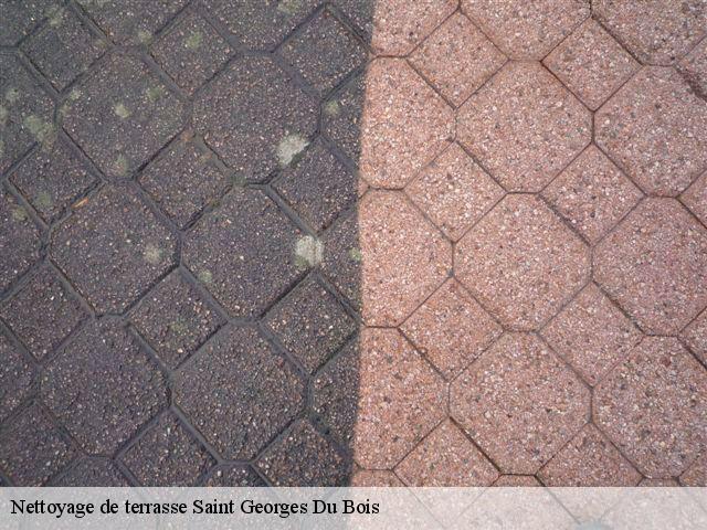 Nettoyage de terrasse  saint-georges-du-bois-49250 