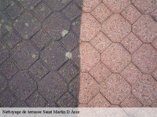 Nettoyage de terrasse  saint-martin-d-arce-49150 