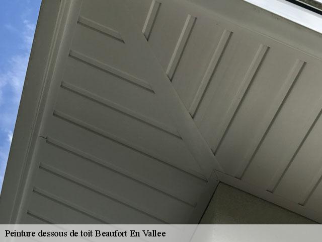 Peinture dessous de toit  beaufort-en-vallee-49250 