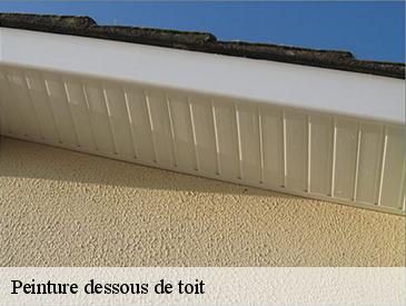 Peinture dessous de toit 49600