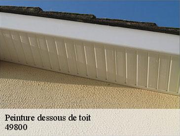 Peinture dessous de toit  49800
