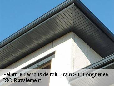 Peinture dessous de toit  brain-sur-longuenee-49220 