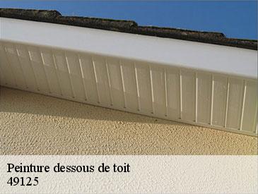Peinture dessous de toit 49125
