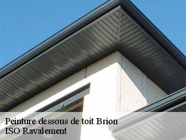 Peinture dessous de toit brion-49250 ISO Ravalement