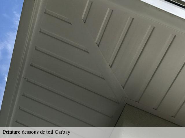 Peinture dessous de toit  carbay-49420 