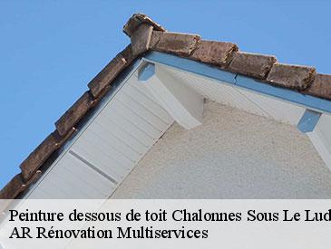 Peinture dessous de toit  chalonnes-sous-le-lude-49490 AR Rénovation Multiservices 
