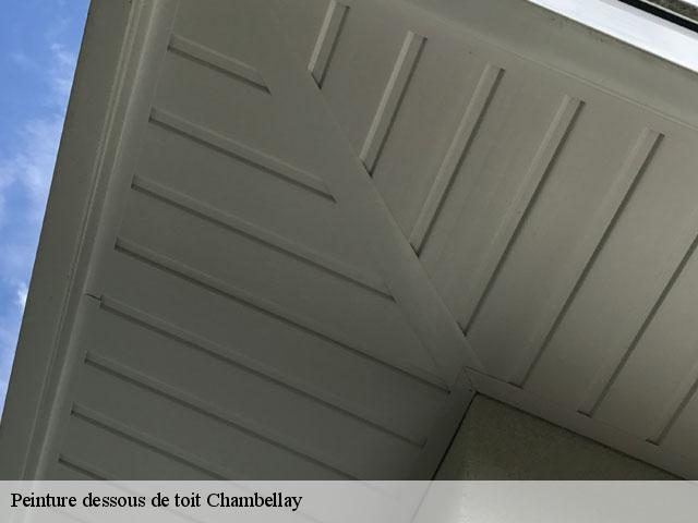 Peinture dessous de toit  chambellay-49220 