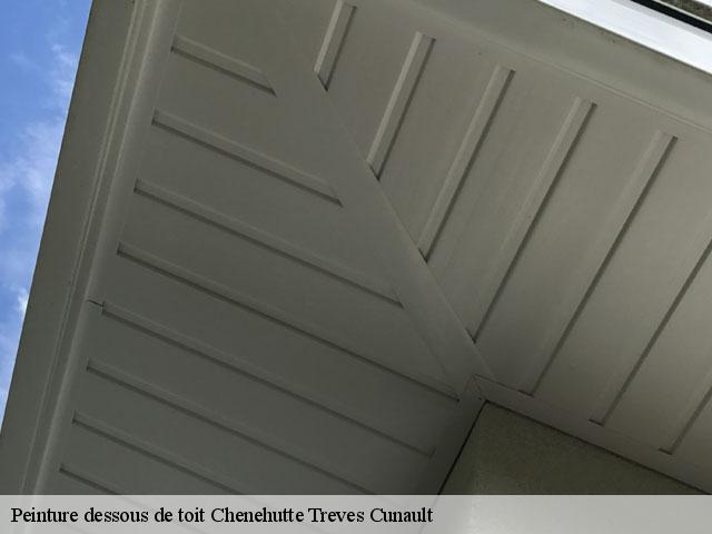 Peinture dessous de toit  chenehutte-treves-cunault-49350 
