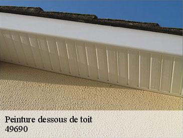 Peinture dessous de toit 49690