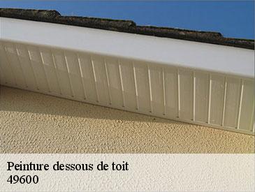 Peinture dessous de toit 49600
