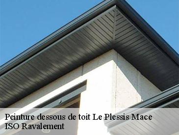 Peinture dessous de toit le-plessis-mace-49220 ISO Ravalement