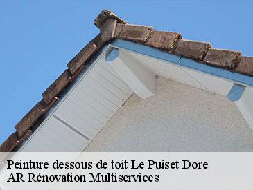Peinture dessous de toit  le-puiset-dore-49600 AR Rénovation Multiservices 
