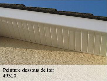 Peinture dessous de toit 49310