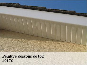 Peinture dessous de toit 49170