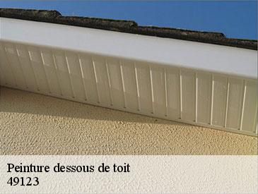 Peinture dessous de toit 49123
