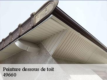 Peinture dessous de toit 49660