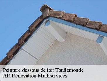Peinture dessous de toit toutlemonde-49360 AR Rénovation Multiservices