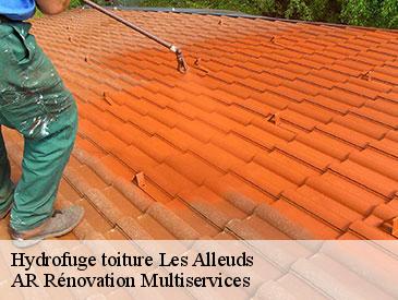 Hydrofuge toiture les-alleuds-49320 AR Rénovation Multiservices
