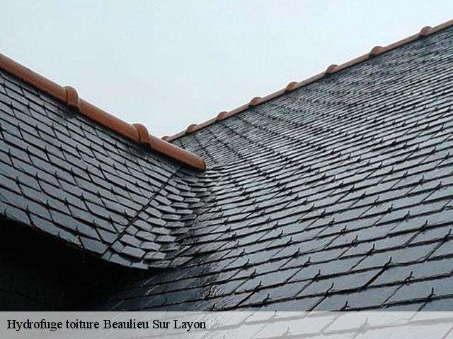 Hydrofuge toiture  beaulieu-sur-layon-49750 