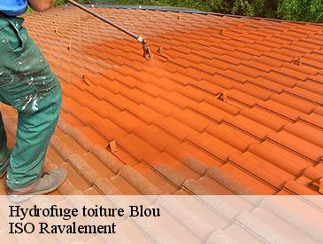 Hydrofuge toiture blou-49160
