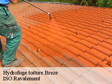 Hydrofuge toiture  breze-49260 ISO Ravalement