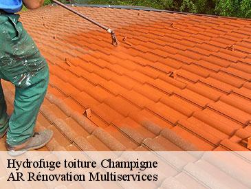 Hydrofuge toiture champigne-49330 AR Rénovation Multiservices