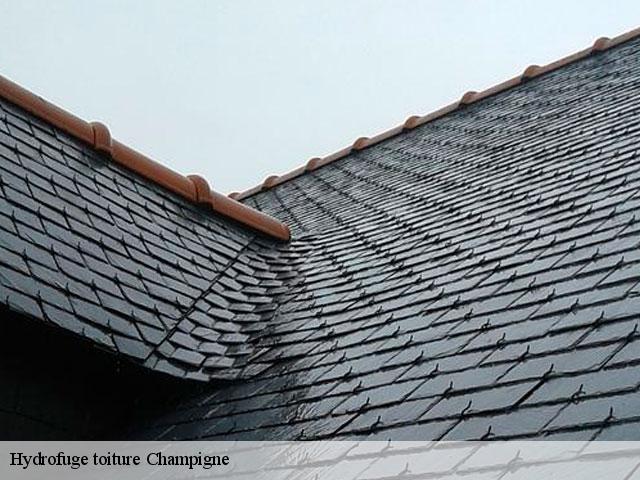 Hydrofuge toiture  champigne-49330 