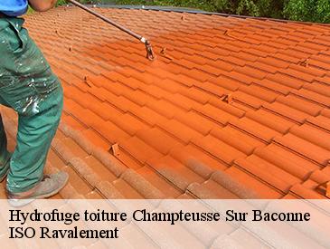 Hydrofuge toiture champteusse-sur-baconne-49220 ISO Ravalement