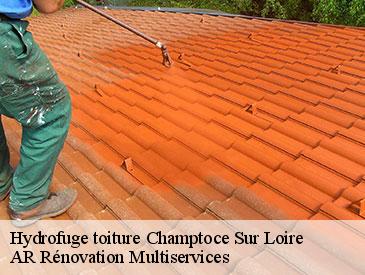 Hydrofuge toiture  champtoce-sur-loire-49123 AR Rénovation Multiservices 