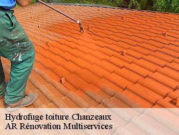 Hydrofuge toiture chanzeaux-49750 AR Rénovation Multiservices