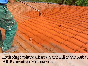 Hydrofuge toiture charce-saint-ellier-sur-aubance-49320 AR Rénovation Multiservices