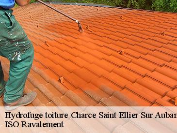 Hydrofuge toiture charce-saint-ellier-sur-aubance-49320