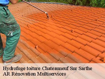 Hydrofuge toiture chateauneuf-sur-sarthe-49330 AR Rénovation Multiservices