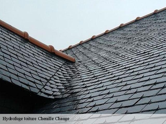 Hydrofuge toiture  chenille-change-49220 
